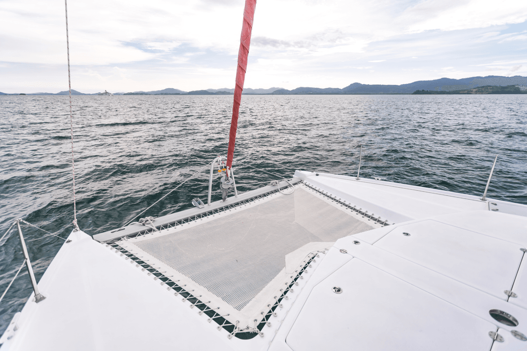 Leopard 39 - Image 4