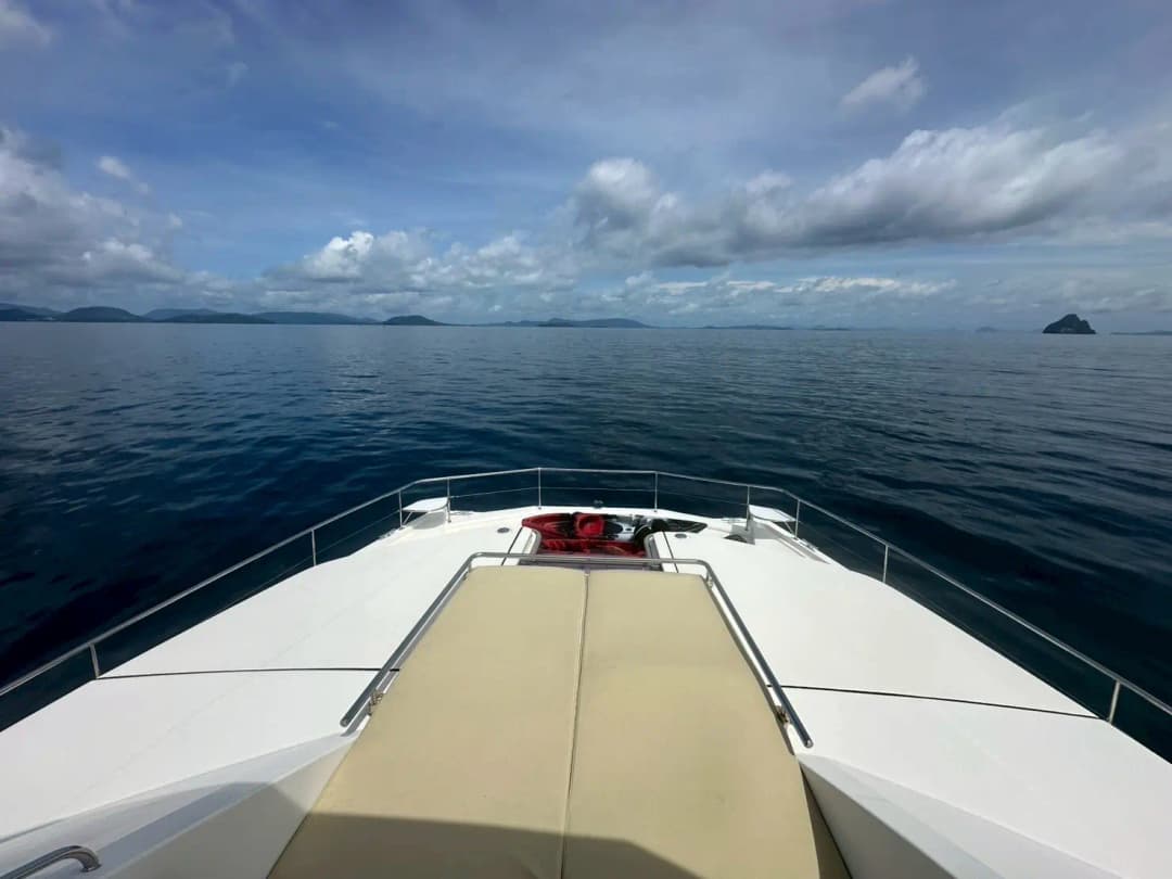 Leopard 50 - Image 3