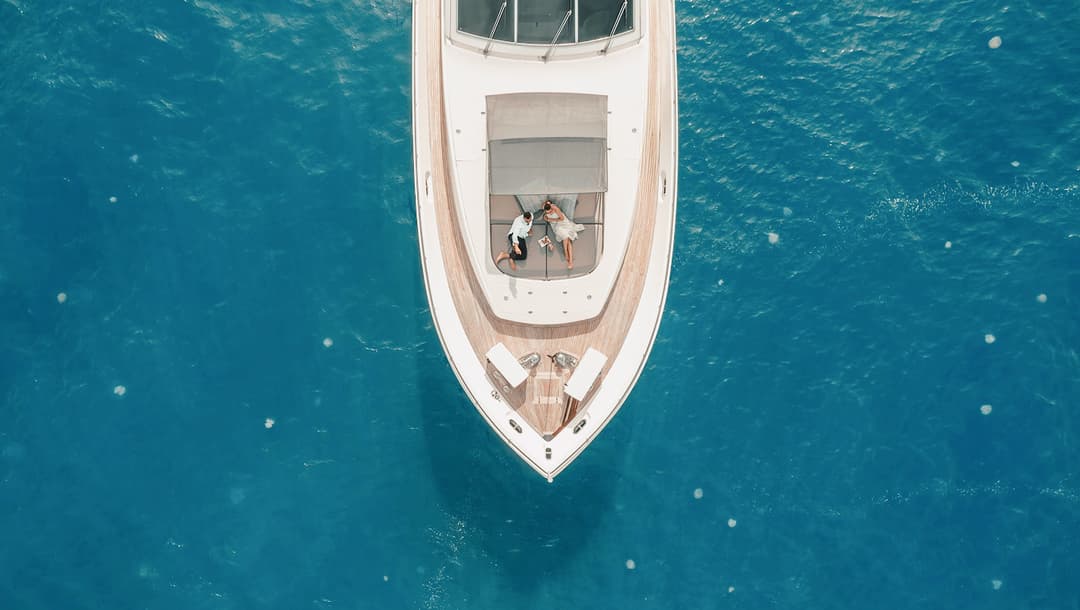 Leopard V90 - Image 4