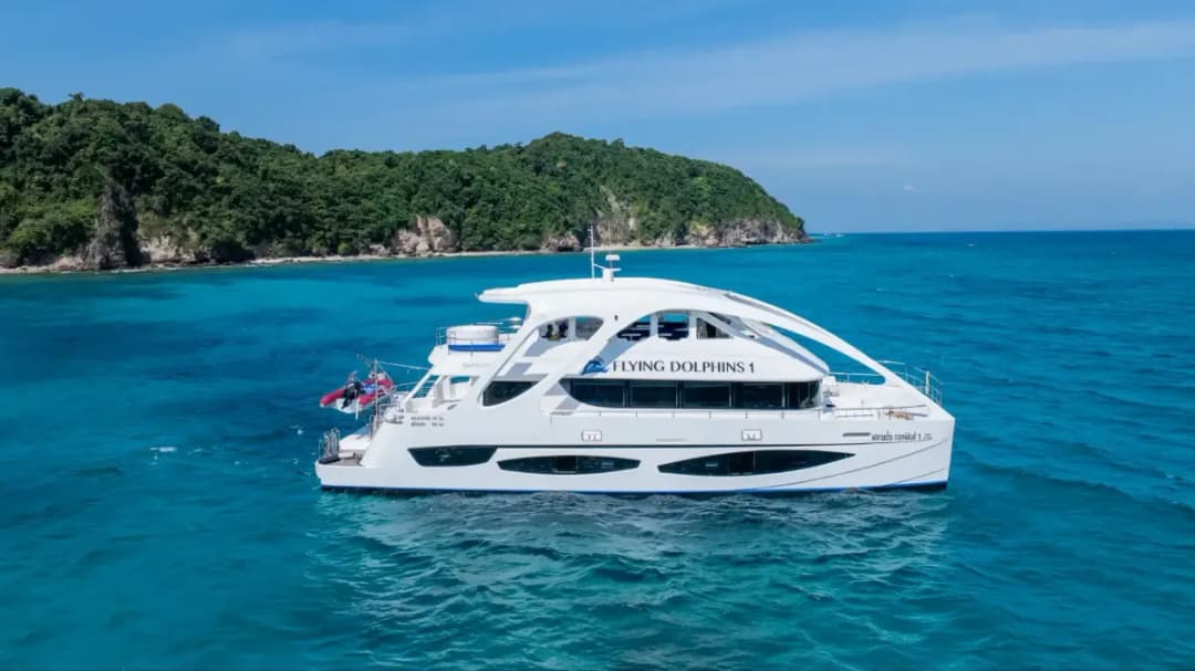 FLYINGDONPHINE1 72 - Image 5