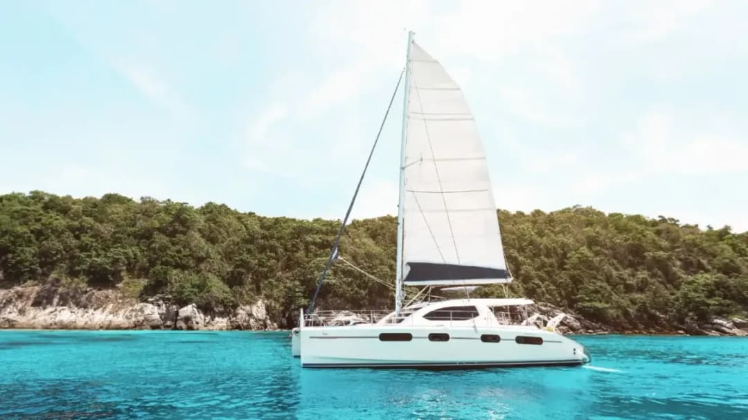 MYRA-LEOPARD 47 - Image 3