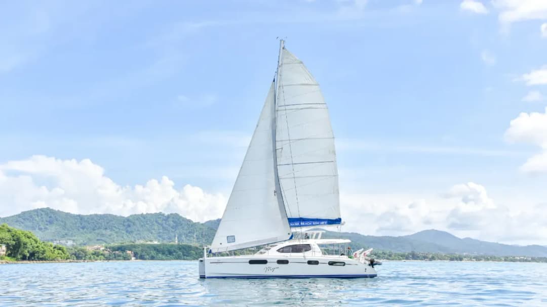 MYRA-LEOPARD 47 - Image 2