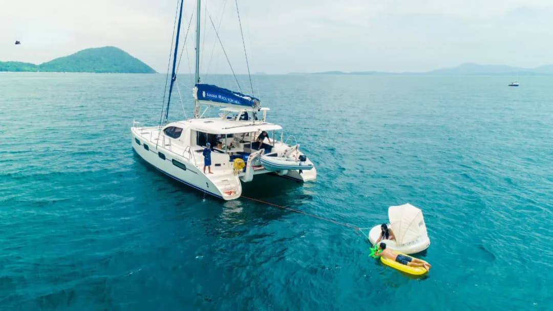 MYRA-LEOPARD 47 - Image 4