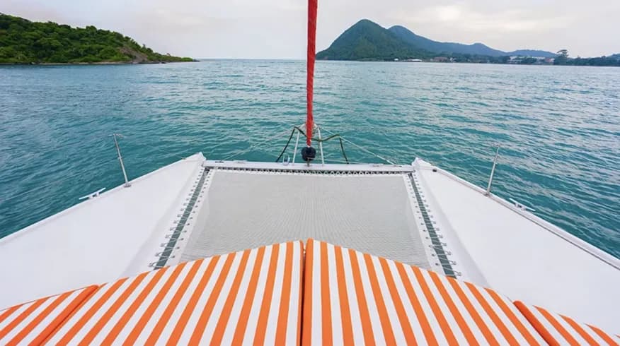 Leopard 39 - Image 4