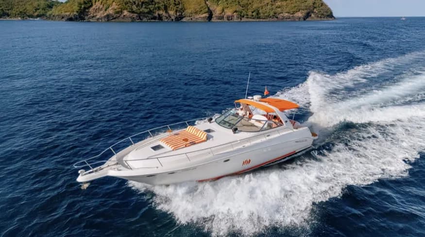 sport cruiser - Image 4