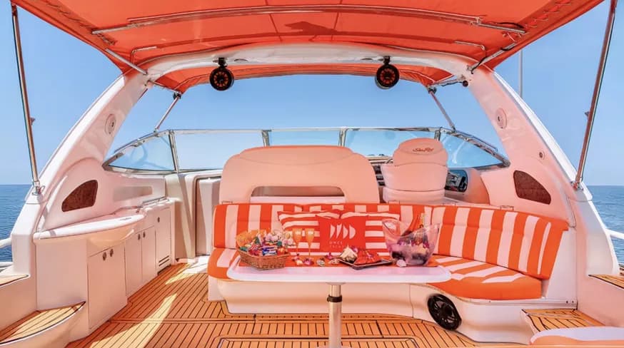 Searay Sundancer 46ft - 5