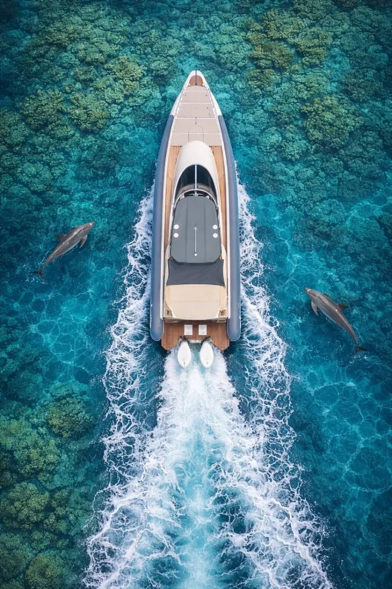 Luxury SpeedBoat 38ft